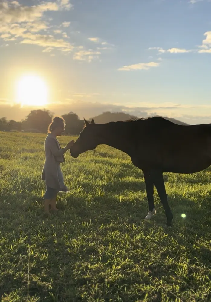 Two horses grazing in the pasture