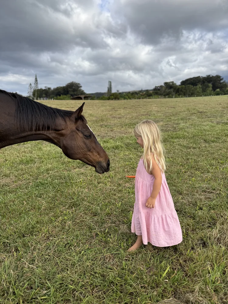 A horse leaning down to greet a girl in the pasture