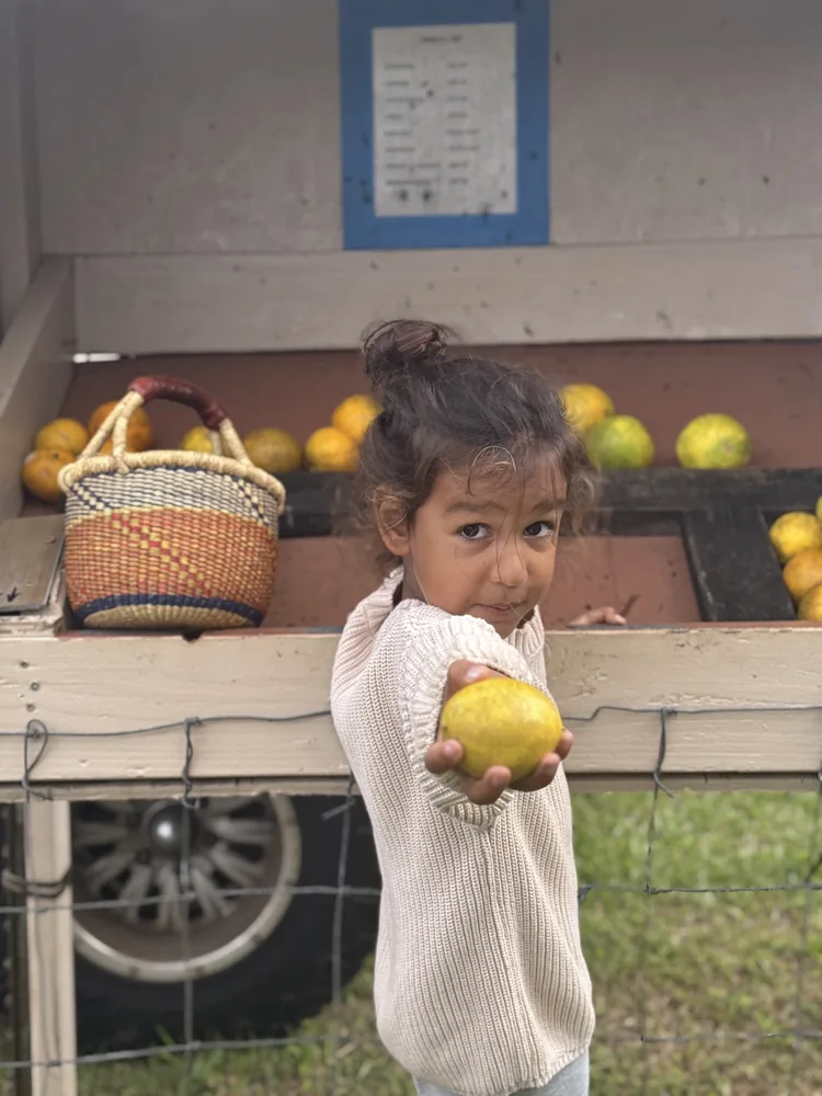 A child holding a lemon beside a basket of citrus